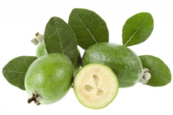 Как да се получи сок от feijoa